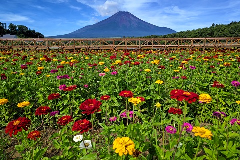 2022/08/02の写真