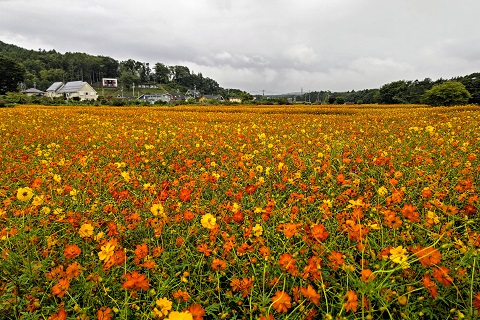 2022/08/21の写真