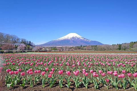 2023/04/19の写真