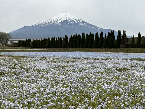 2023/04/24の写真