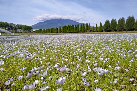 2023/05/27の写真