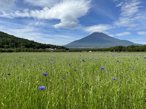 2023/06/28の写真