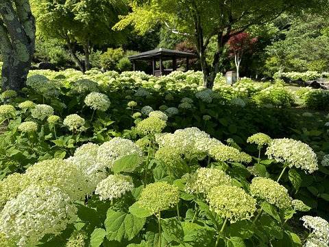 2023/07/02の写真