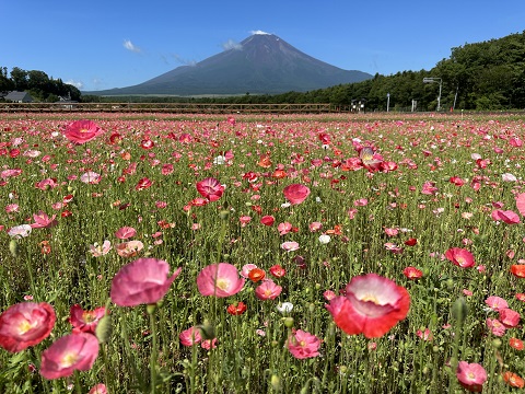 2023/07/10の写真