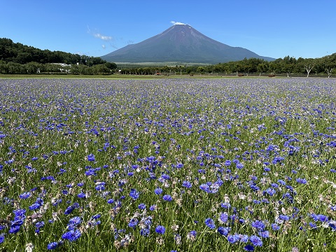 2023/07/10の写真