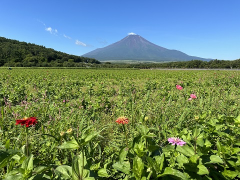 2023/07/10の写真