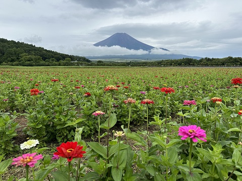 2023/07/15の写真