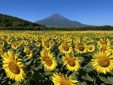 2023/07/25の写真