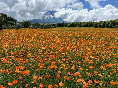 2023/08/07の写真