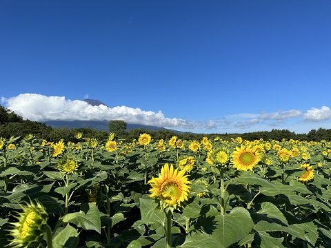 2023/08/18の写真