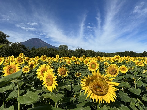 2023/08/30の写真