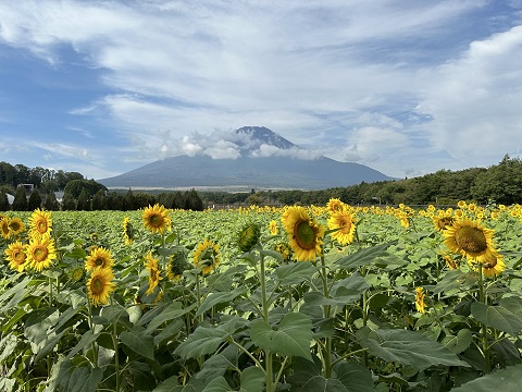 2023/09/20の写真