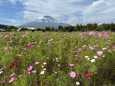 2023/09/20の写真