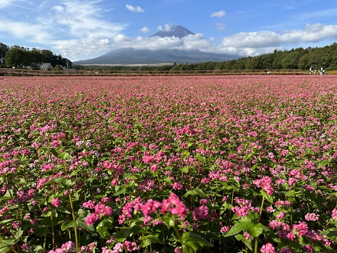 2023/10/03の写真