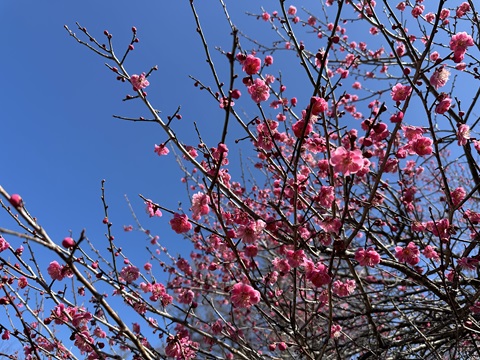 2024/03/31の写真