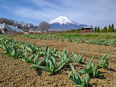 2024/04/13の写真