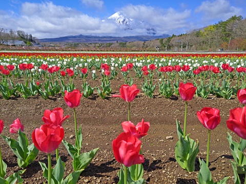 2024/04/25の写真