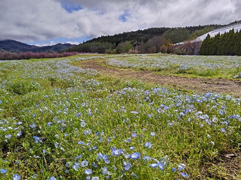 2024/04/25の写真
