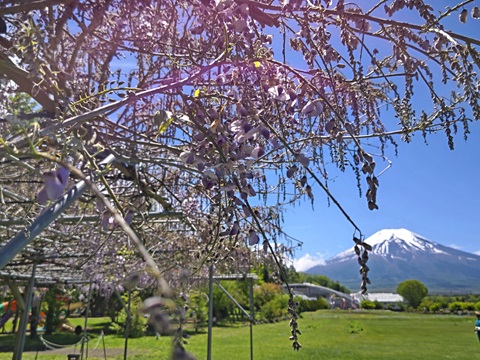 2024/05/14の写真