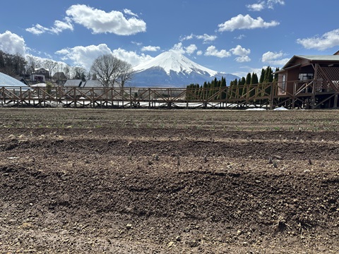2025/04/04の写真