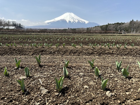 2025/04/08の写真