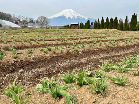 2025/04/18の写真