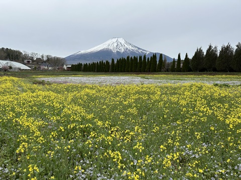 2025/04/25の写真