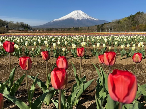 2025/05/01の写真