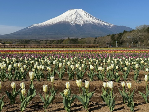 2025/05/01の写真