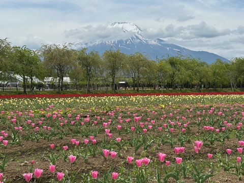 2025/05/15の写真
