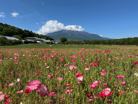 2025/05/28の写真