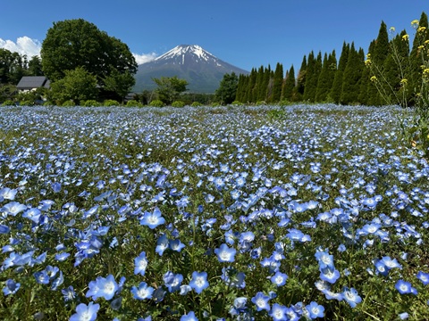 2025/06/05の写真