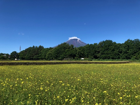 2025/06/17の写真