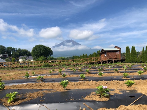 2025/06/21の写真