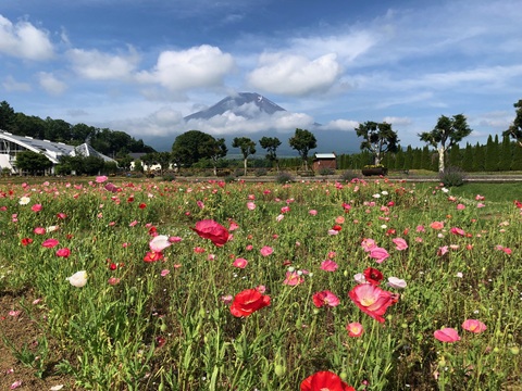 2025/06/21の写真