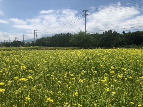 2025/06/21の写真