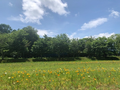 2025/06/21の写真
