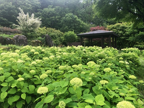 2025/06/25の写真