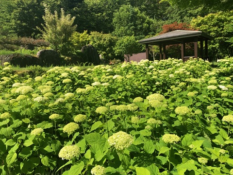 2025/06/27の写真