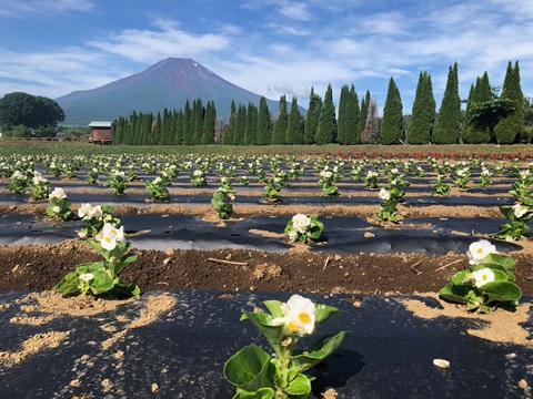 2025/06/27の写真