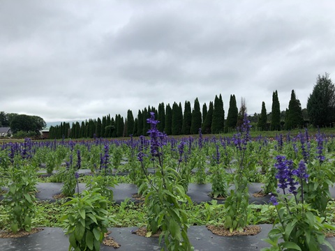 2025/07/12の写真