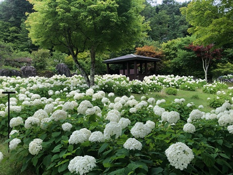 2025/07/18の写真