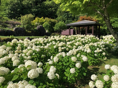 2025/07/19の写真
