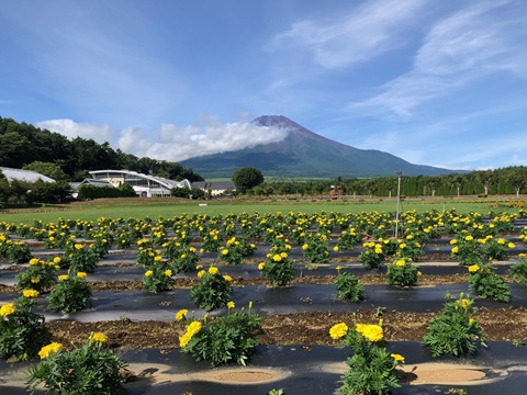 2025/07/19の写真