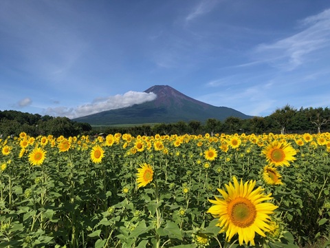 2025/07/19の写真