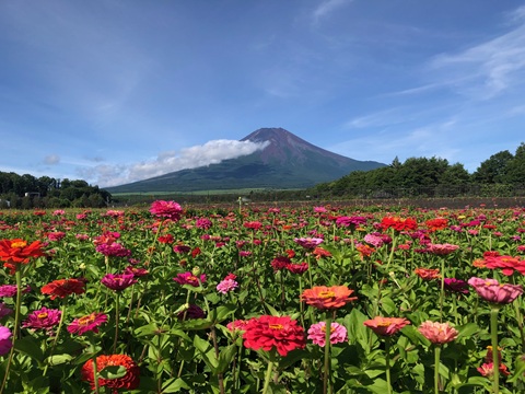 2025/07/19の写真