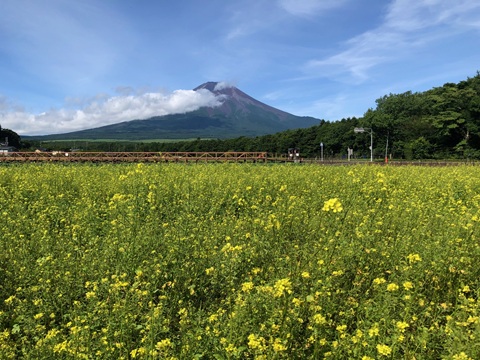 2025/07/19の写真