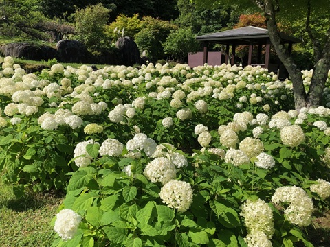2025/07/22の写真