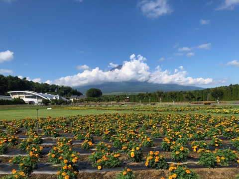 2025/07/26の写真
