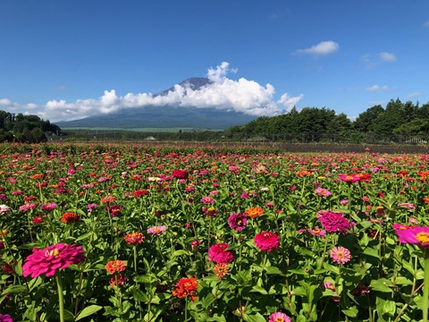 2025/07/26の写真